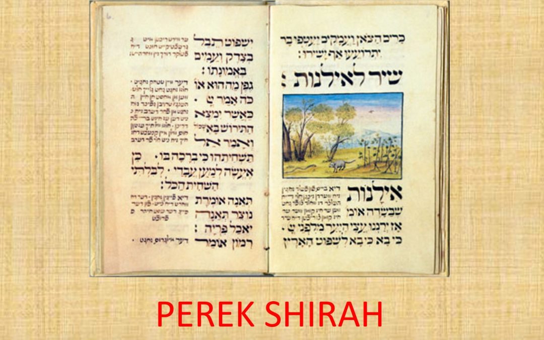 PEREK SHIRAH, IL CANTICO DELLE CREATURE