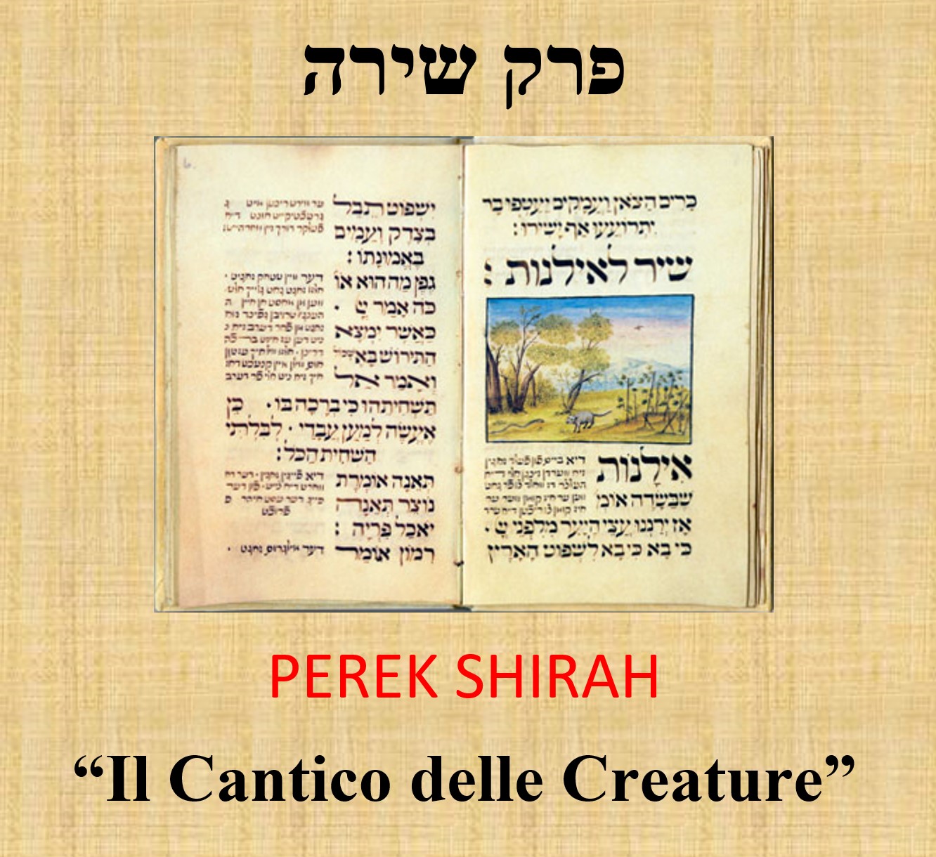 cantico delle creature
