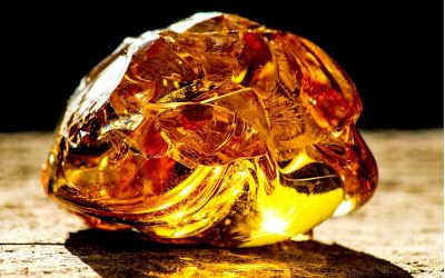 L’ELETTROTECNICA E I TAROCCHI